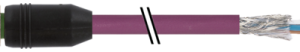 M12 F STR. WITH CABLEDEVICENET PUR-OB 2X0,25+2X0,34  VIOLET