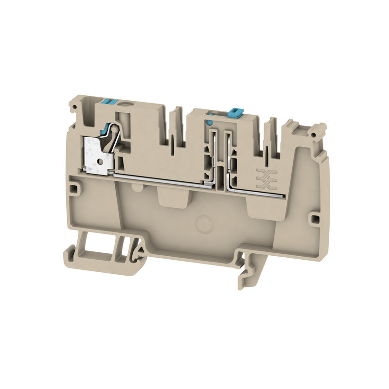 AAP21 4 DT