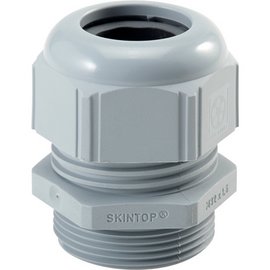 SKINTOP ST PG 29 RAL 7001 SGY