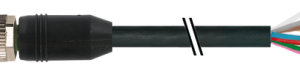 M12 MALE 0° PUR 8X0,25 BLACK UL/CSA, DRAG CH 0.5M