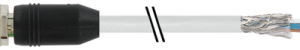 M12 M STR. WITH CABLE PUR-OB 8X0,25  GREY  3M