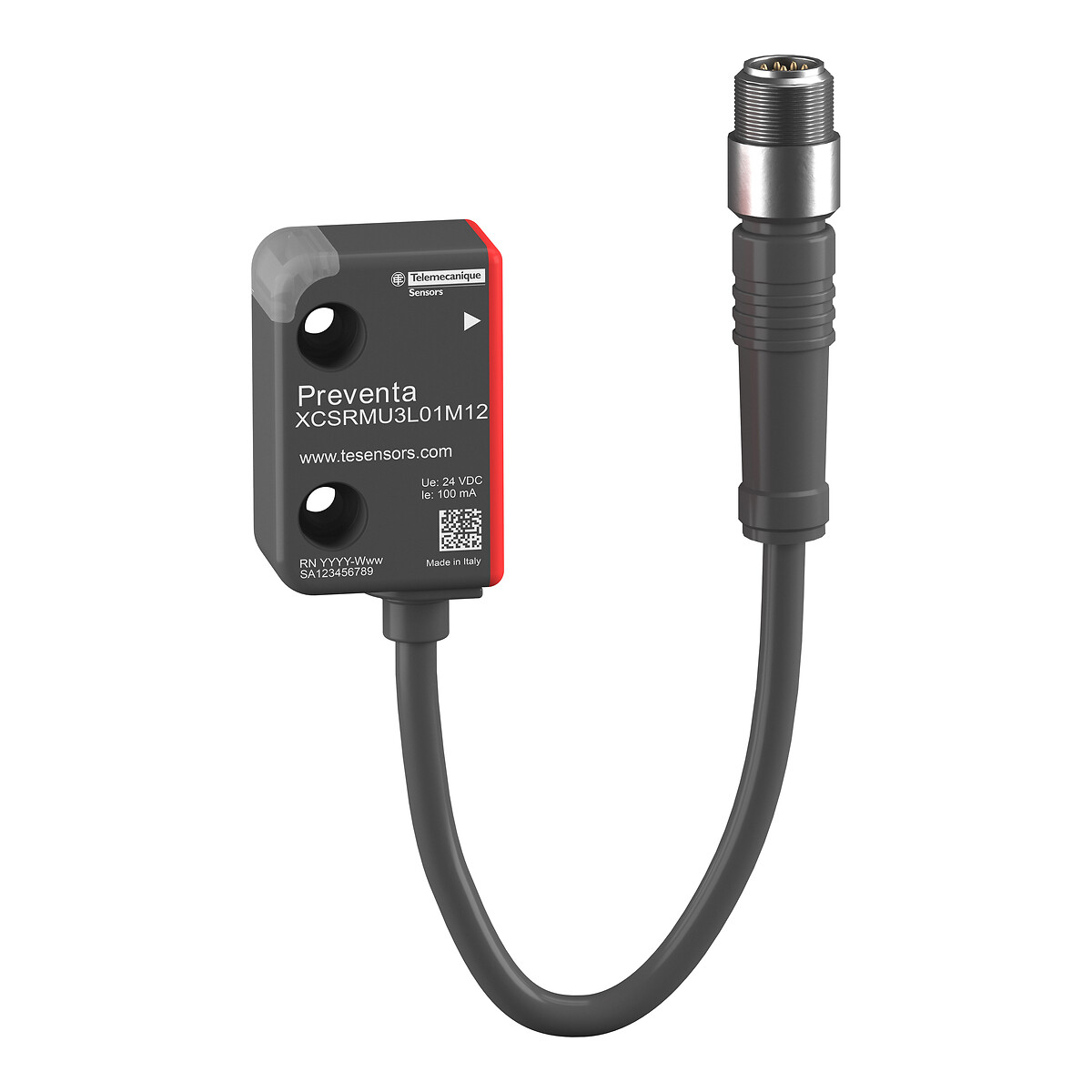 SÄKERHETSGIVARE EDM PM12